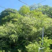 ヒメ日記 2025/05/05 15:38 投稿 ななせ お姉さんSelect