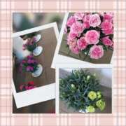 すもも 祝日だからか 完熟ばなな千葉店