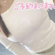 ヒメ日記 2025/04/12 16:23 投稿 ゆうり cocoro