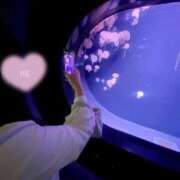 ヒメ日記 2025/10/20 23:33 投稿 ゆうり cocoro