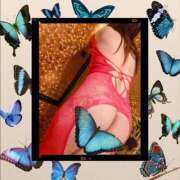 ヒメ日記 2025/12/03 23:36 投稿 まこ 熟女家 京橋店