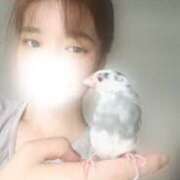 ヒメ日記 2025/06/20 00:00 投稿 まき ビアガーデンカーニバル