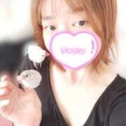 ヒメ日記 2025/07/10 08:00 投稿 まき ビアガーデンカーニバル