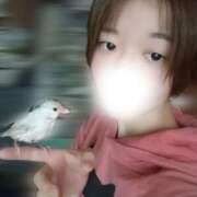 まき 今日も1日お疲れ様でした☺️ ビアガーデンカーニバル