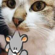 ヒメ日記 2025/01/10 18:35 投稿 みなみ 栃木宇都宮ちゃんこ