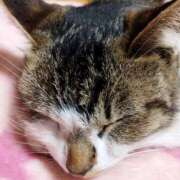 ヒメ日記 2025/01/16 23:35 投稿 みなみ 栃木宇都宮ちゃんこ