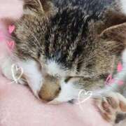 ヒメ日記 2025/01/31 21:05 投稿 みなみ 栃木宇都宮ちゃんこ