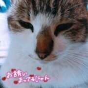 ヒメ日記 2025/04/09 17:15 投稿 みなみ 栃木宇都宮ちゃんこ