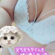 ヒメ日記 2025/04/27 14:35 投稿 みなみ 栃木宇都宮ちゃんこ