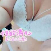 みなみ エッチなこといっぱいしたいなっ🫣 栃木宇都宮ちゃんこ