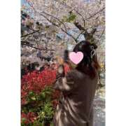 ヒメ日記 2026/03/28 12:21 投稿 四宮 すずか Canx2京都店