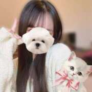 ヒメ日記 2024/12/26 08:42 投稿 月雪桃花 AJ DOLLS(エージェイドールズ)