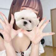 ヒメ日記 2025/02/06 02:12 投稿 月雪桃花 AJ DOLLS(エージェイドールズ)