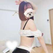 ヒメ日記 2025/02/11 19:42 投稿 月雪桃花 AJ DOLLS(エージェイドールズ)