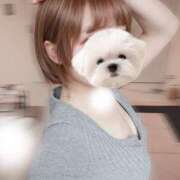 ヒメ日記 2025/03/12 20:42 投稿 月雪桃花 AJ DOLLS(エージェイドールズ)