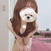 ヒメ日記 2025/03/24 23:32 投稿 月雪桃花 AJ DOLLS(エージェイドールズ)