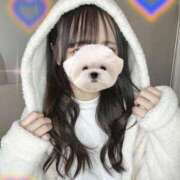 ヒメ日記 2025/04/07 09:02 投稿 月雪桃花 AJ DOLLS(エージェイドールズ)