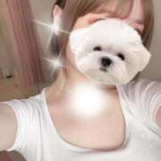 ヒメ日記 2025/04/16 22:12 投稿 月雪桃花 AJ DOLLS(エージェイドールズ)