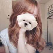 ヒメ日記 2025/04/26 17:22 投稿 月雪桃花 AJ DOLLS(エージェイドールズ)