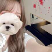 ヒメ日記 2025/06/16 18:32 投稿 月雪桃花 AJ DOLLS(エージェイドールズ)