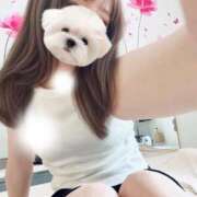 ヒメ日記 2025/06/24 17:02 投稿 月雪桃花 AJ DOLLS(エージェイドールズ)