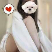 ヒメ日記 2025/08/04 12:42 投稿 月雪桃花 AJ DOLLS(エージェイドールズ)