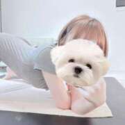 ヒメ日記 2025/10/19 09:32 投稿 月雪桃花 AJ DOLLS(エージェイドールズ)