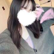 月雪桃花 幸せ AJ DOLLS(エージェイドールズ)