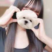 ヒメ日記 2026/01/20 18:52 投稿 月雪桃花 AJ DOLLS(エージェイドールズ)