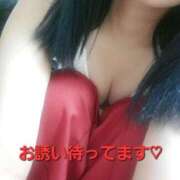 ヒメ日記 2025/05/03 12:01 投稿 まひる 熊本しこたまクリニック