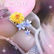 ヒメ日記 2025/02/12 15:14 投稿 姫野【ひめの】 丸妻 西船橋店