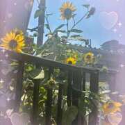 ヒメ日記 2025/08/29 16:44 投稿 姫野【ひめの】 丸妻 西船橋店