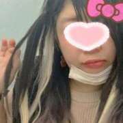 姫野【ひめの】 ジドリ 丸妻 西船橋店