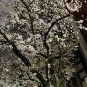 セナ ♡ありがと♡ Ageha(アゲハ)