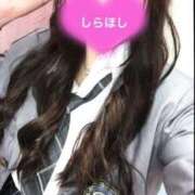 ヒメ日記 2024/12/17 04:00 投稿 しらほし バカンス学園　谷九校