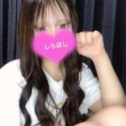 ヒメ日記 2024/12/21 03:20 投稿 しらほし バカンス学園　谷九校