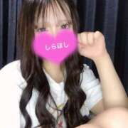 ヒメ日記 2025/03/20 03:10 投稿 しらほし バカンス学園　谷九校