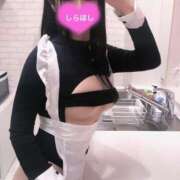 ヒメ日記 2025/04/12 22:20 投稿 しらほし バカンス学園　谷九校