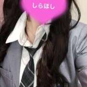 ヒメ日記 2025/04/14 01:40 投稿 しらほし バカンス学園　谷九校