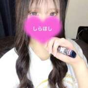 ヒメ日記 2025/04/20 03:30 投稿 しらほし バカンス学園　谷九校