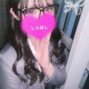 ヒメ日記 2025/07/03 08:00 投稿 しらほし バカンス学園　谷九校