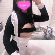 ヒメ日記 2025/07/17 01:23 投稿 しらほし バカンス学園　谷九校