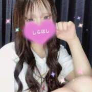 ヒメ日記 2025/07/29 16:40 投稿 しらほし バカンス学園　谷九校