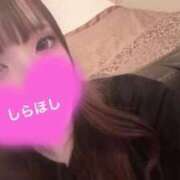 ヒメ日記 2025/08/22 01:20 投稿 しらほし バカンス学園　谷九校