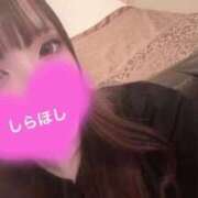 ヒメ日記 2025/08/29 21:00 投稿 しらほし バカンス学園　谷九校