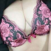 ヒメ日記 2024/12/21 10:10 投稿 かりな 水戸人妻花壇