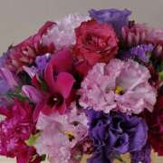 ヒメ日記 2024/12/17 15:28 投稿 唐澤 芹奈 白夜