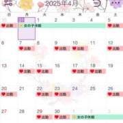 ヒメ日記 2025/03/31 09:18 投稿 唐澤 芹奈 白夜