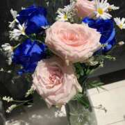 ヒメ日記 2025/04/12 23:22 投稿 唐澤 芹奈 白夜