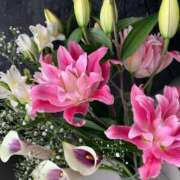 ヒメ日記 2025/04/27 12:12 投稿 唐澤 芹奈 白夜